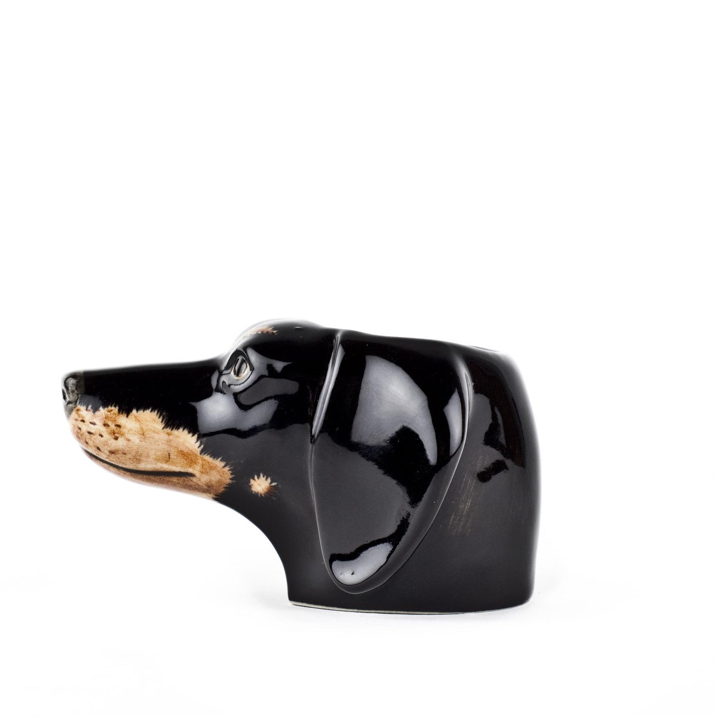 QUAIL PORTAUOVO BASSOTTO FACCIA