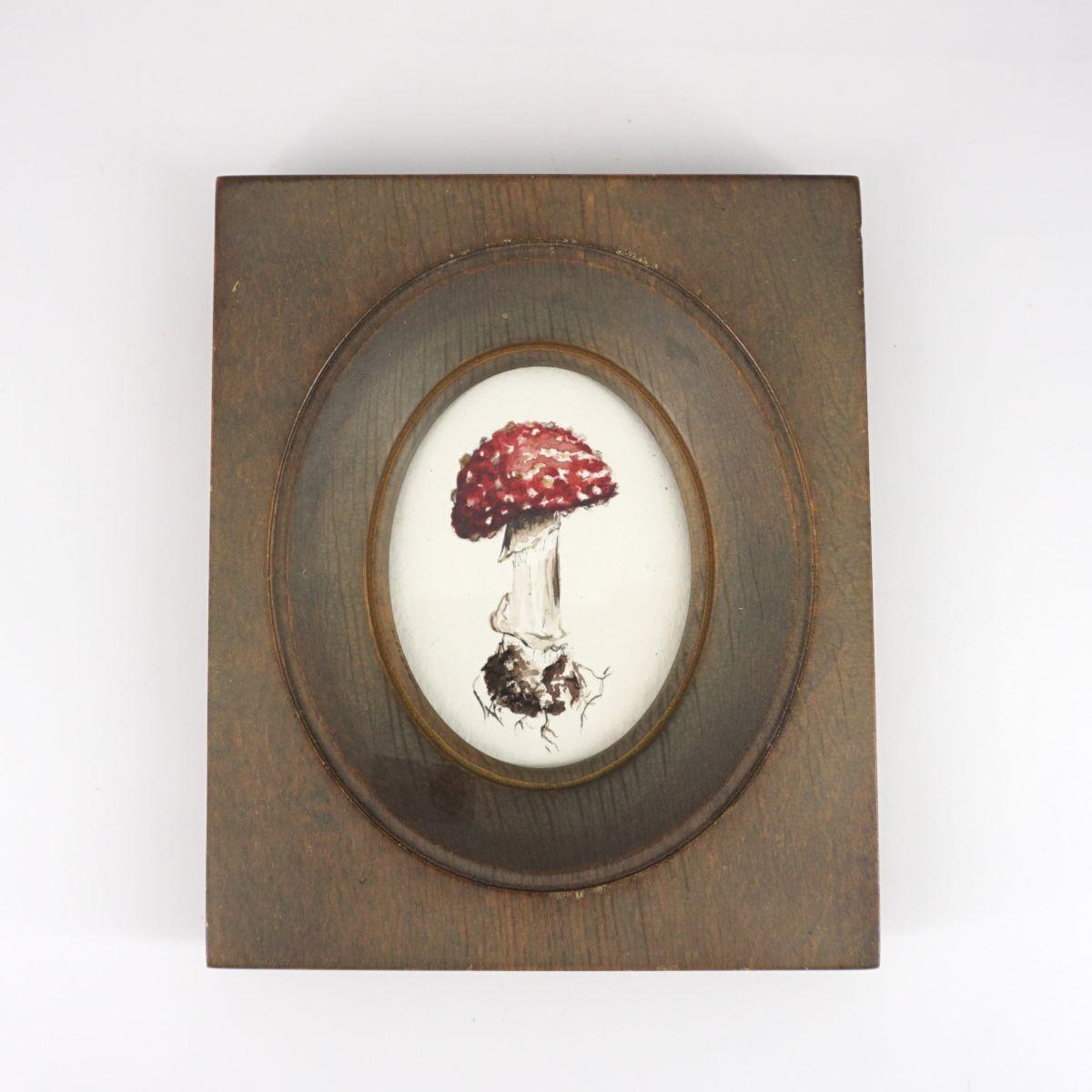 PHOTO DE MOUSSE CARRÉE D'AMANITA MUSCARIA