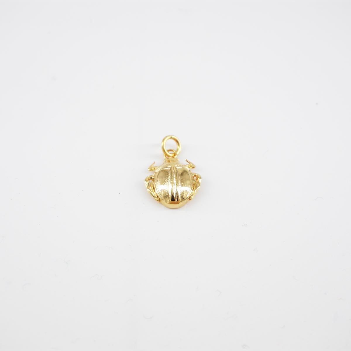 Charm scarabeo
