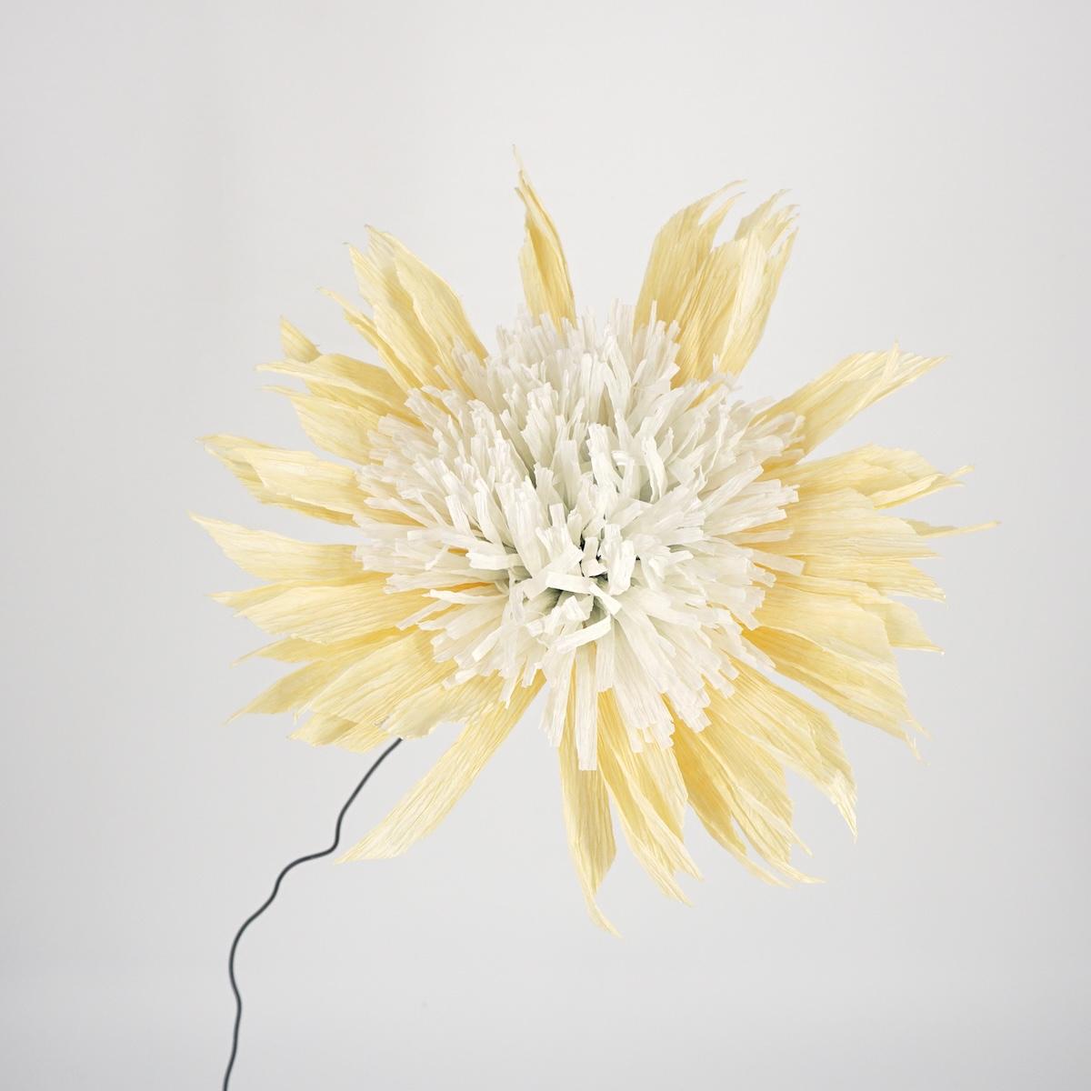 Fiore di carta BIANCO E GIALLO PALLIDO