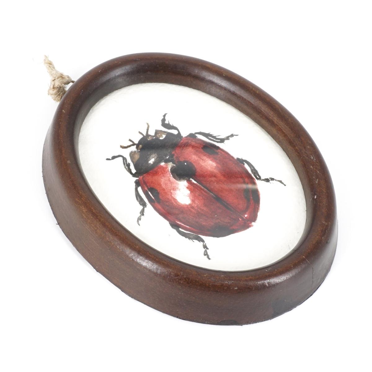 Quadretto COCCINELLA COCCINELLA OVALINO MARRONE  CATERINA BERTA