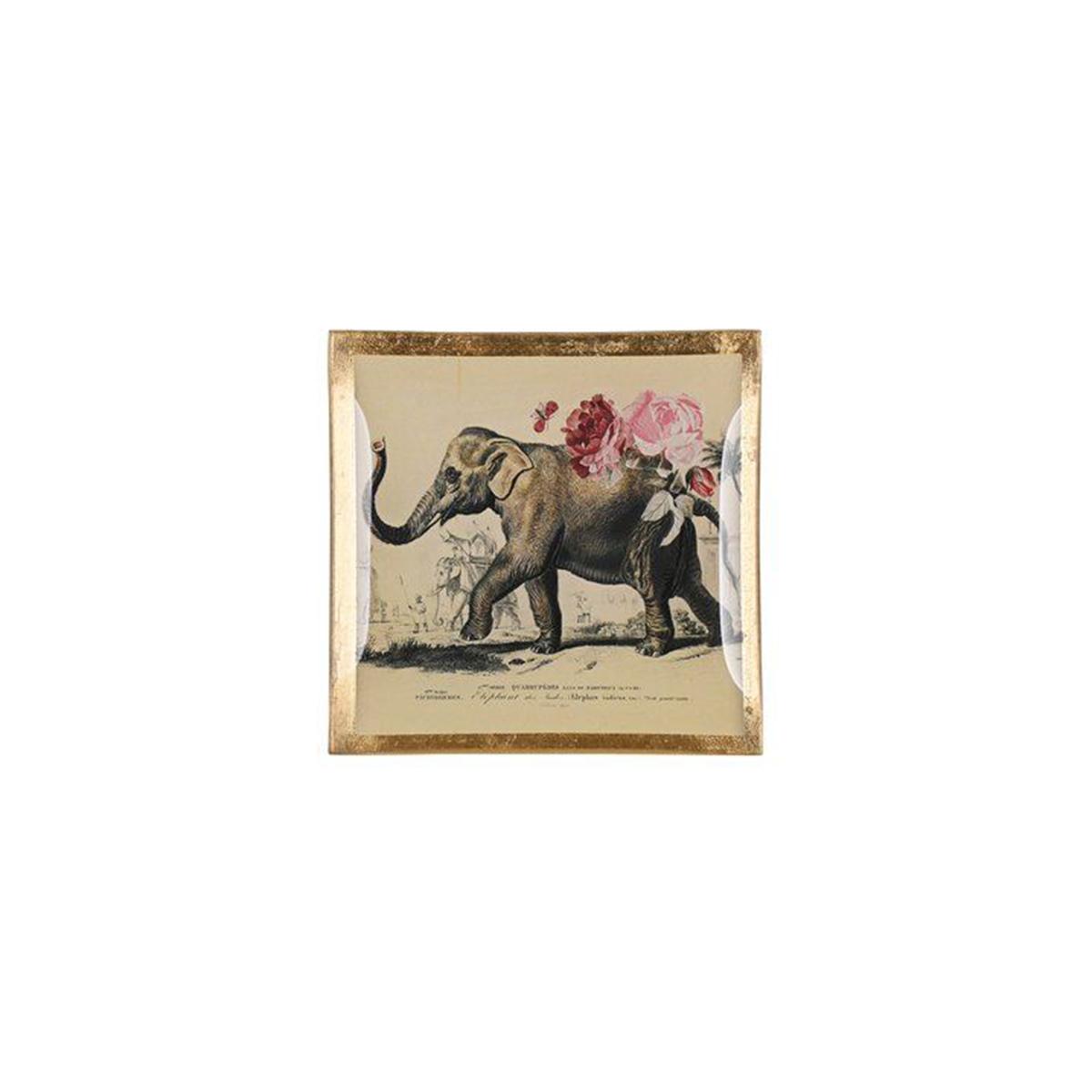 Square elephant plate
