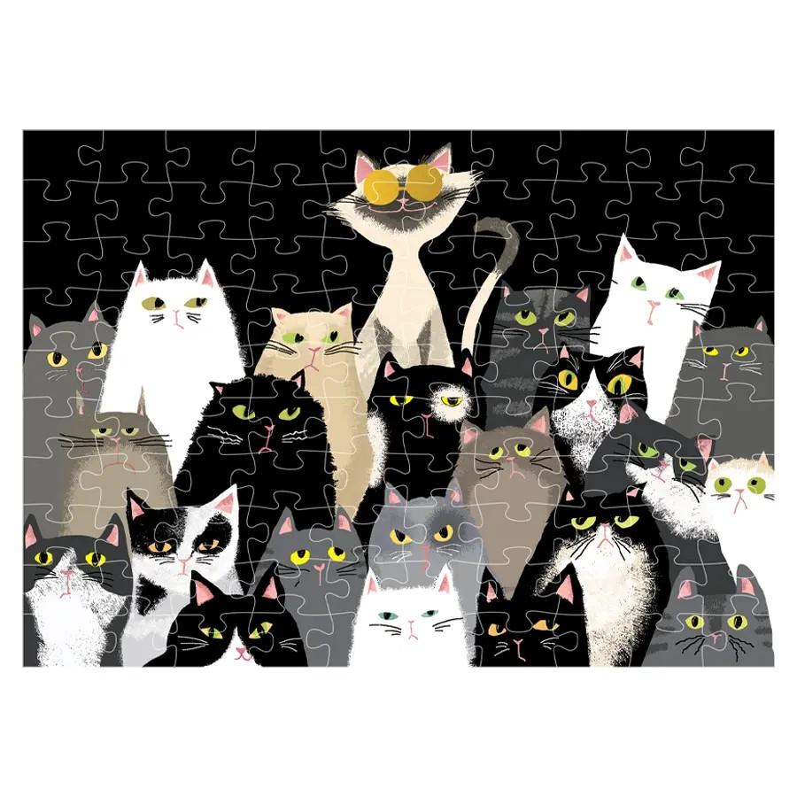 CARTESDART MINI PUZZLEGATTI