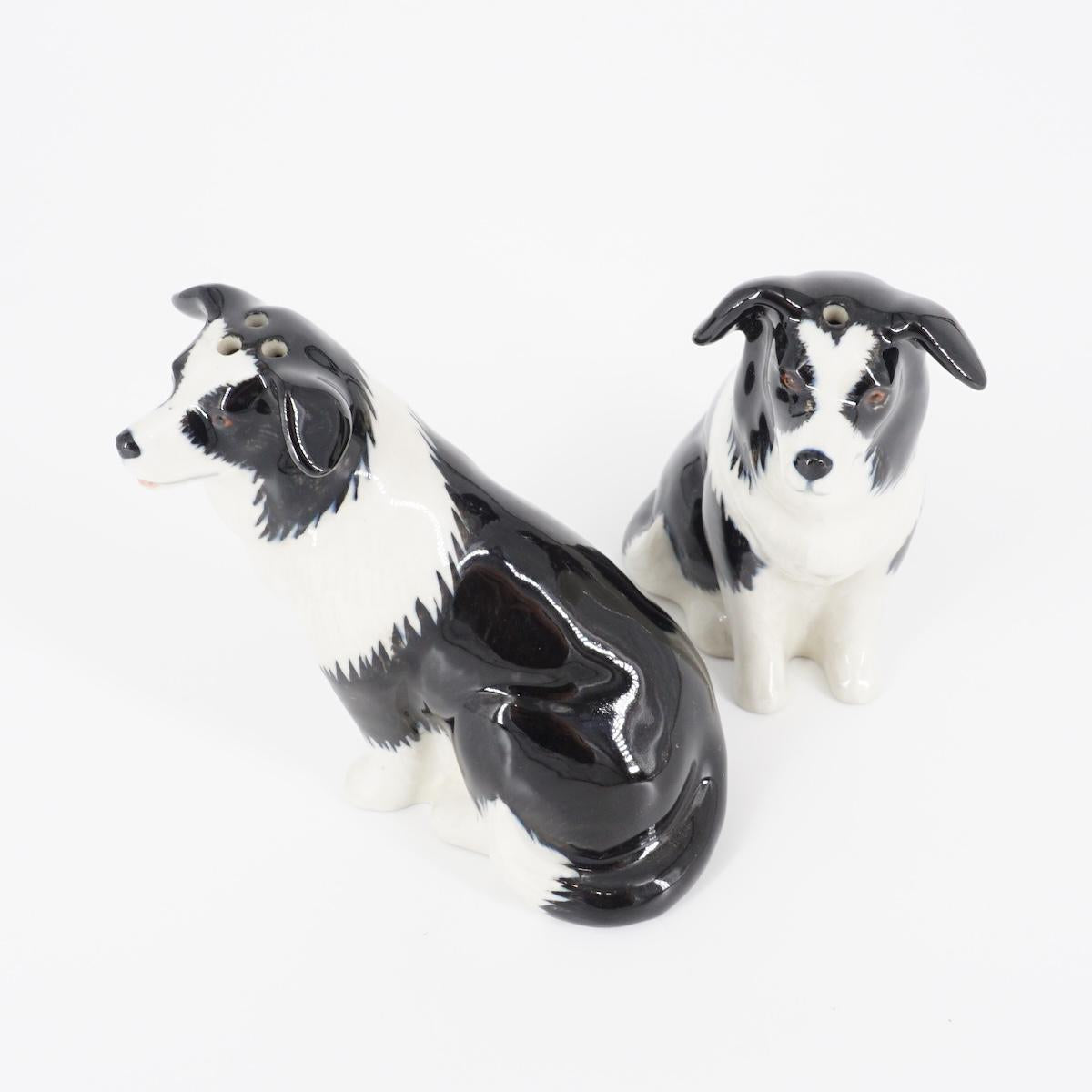 Sale e pepe BORDER COLLIE