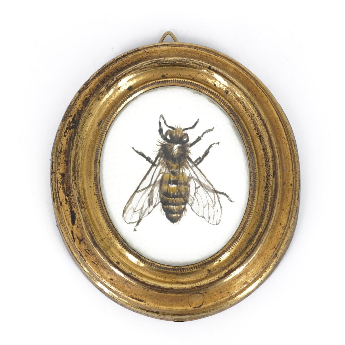 APIS ovale oro slim APIS OVALE ORO SLIM CATERINA BERTA
