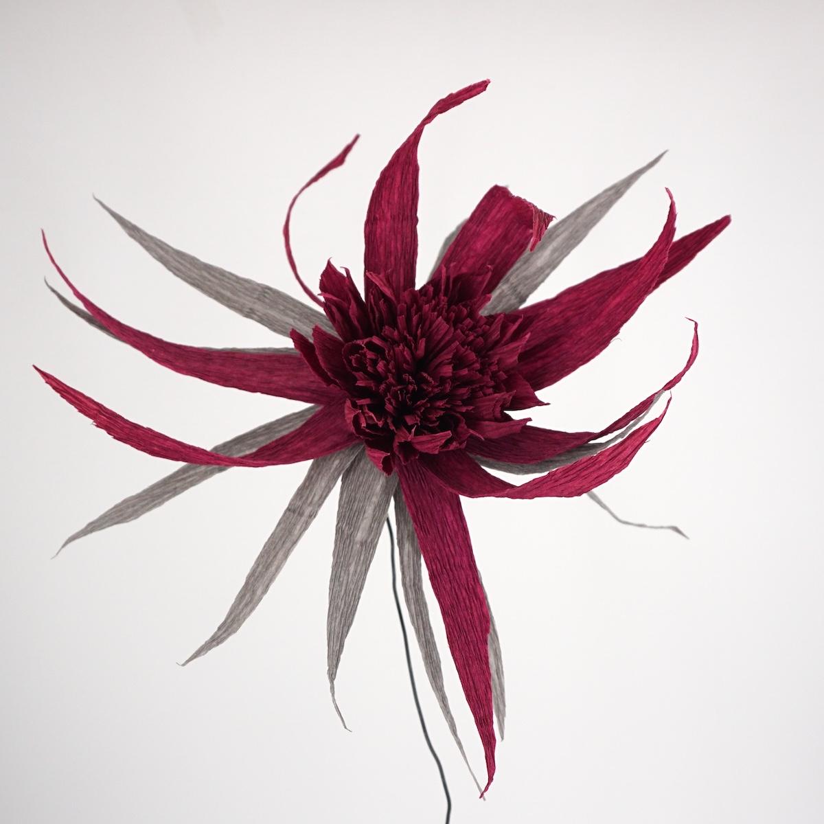 Fiore di carta BORDEAUX GRIGIO