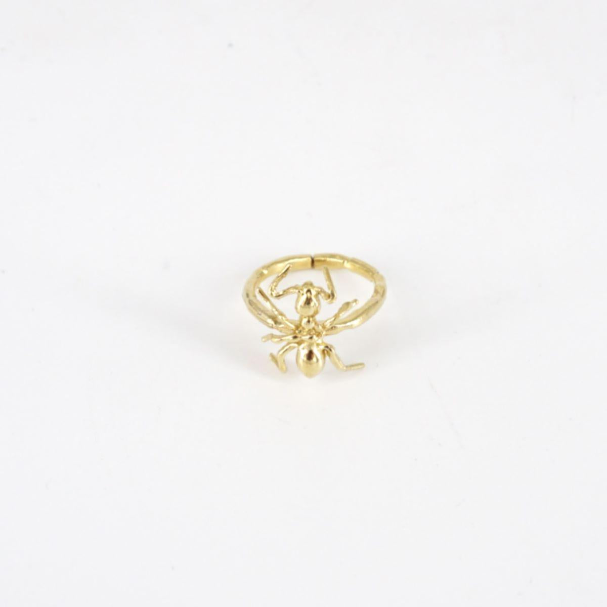 ANT mono ring