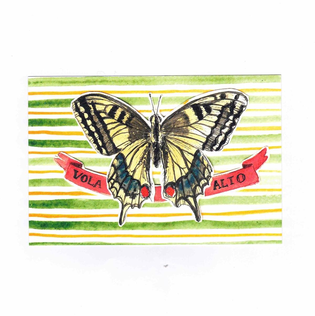 CARTOLINA VOLTA ALTO SFONDI CARTOLINA SFONDI VOLA ALTO CATERINA BERTA