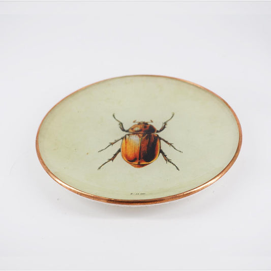 Piattino SCARAFAGGIO