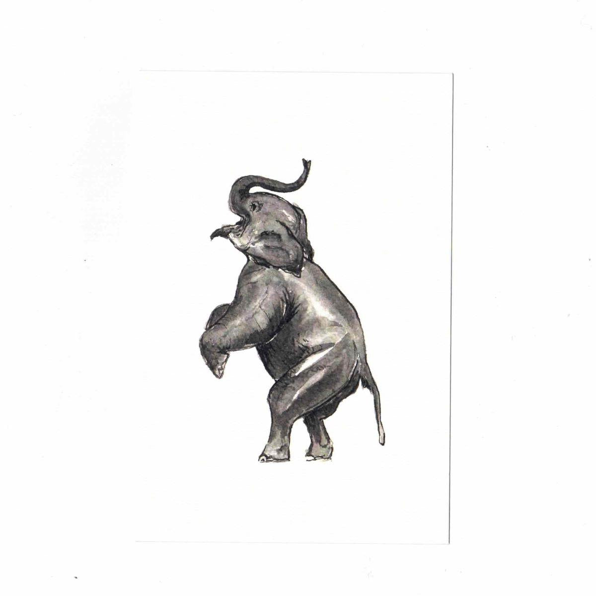 ELEPHANT Postcard