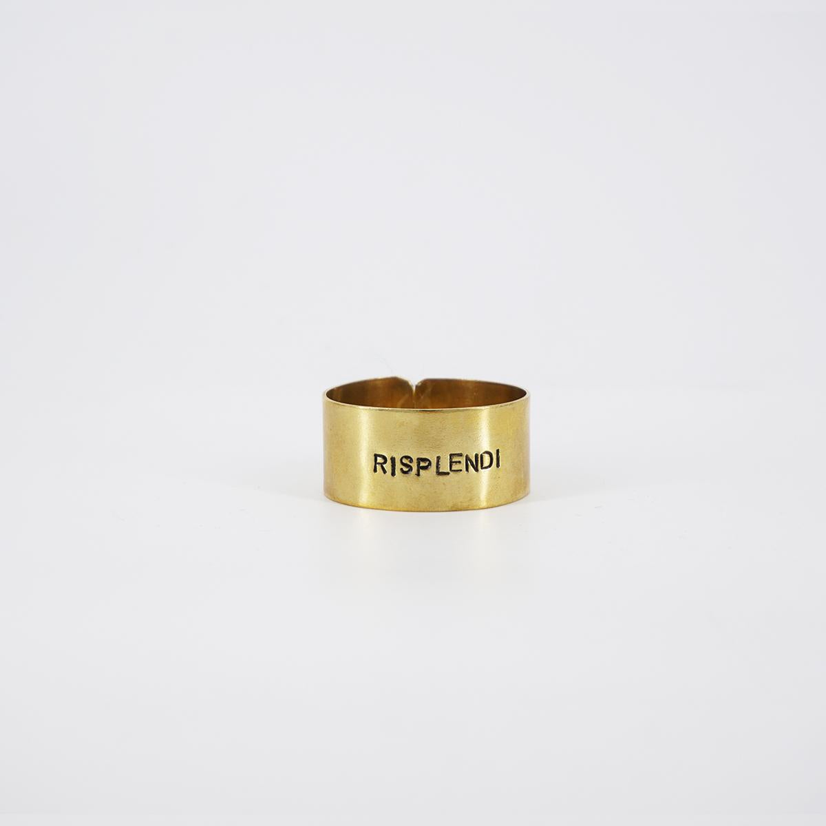 small napkin ring shine