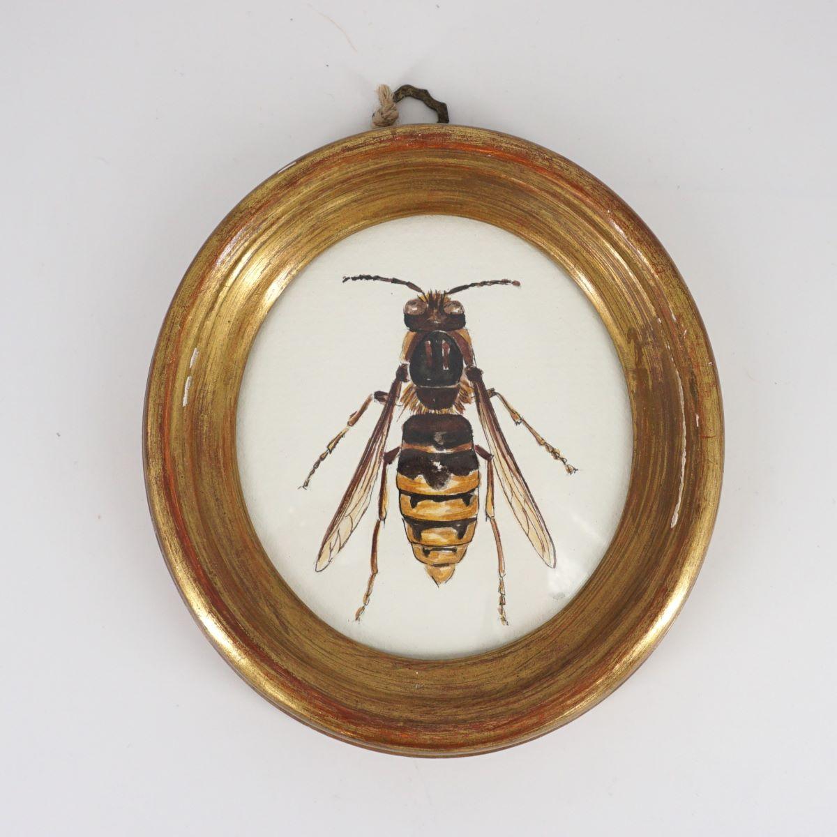 OVAL VESPA CRABRO PICTURE