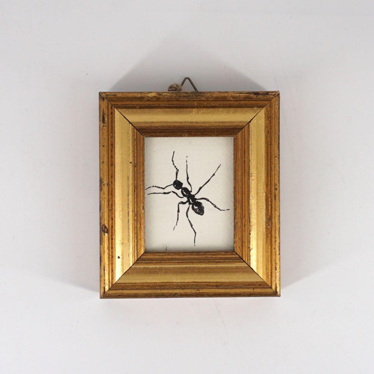 Quadretto FORMICIDAE rettangolare