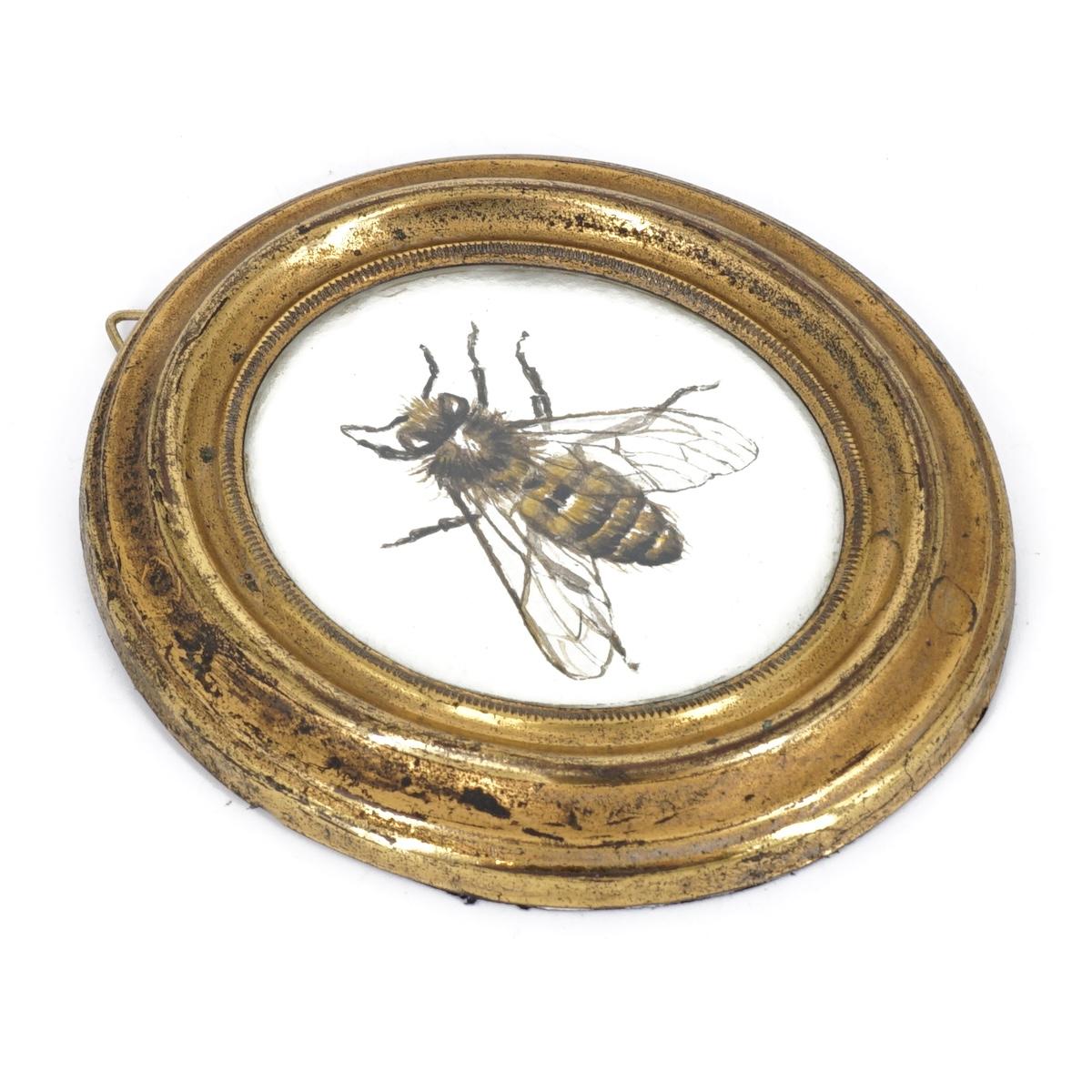 APIS ovale oro slim APIS OVALE ORO SLIM CATERINA BERTA