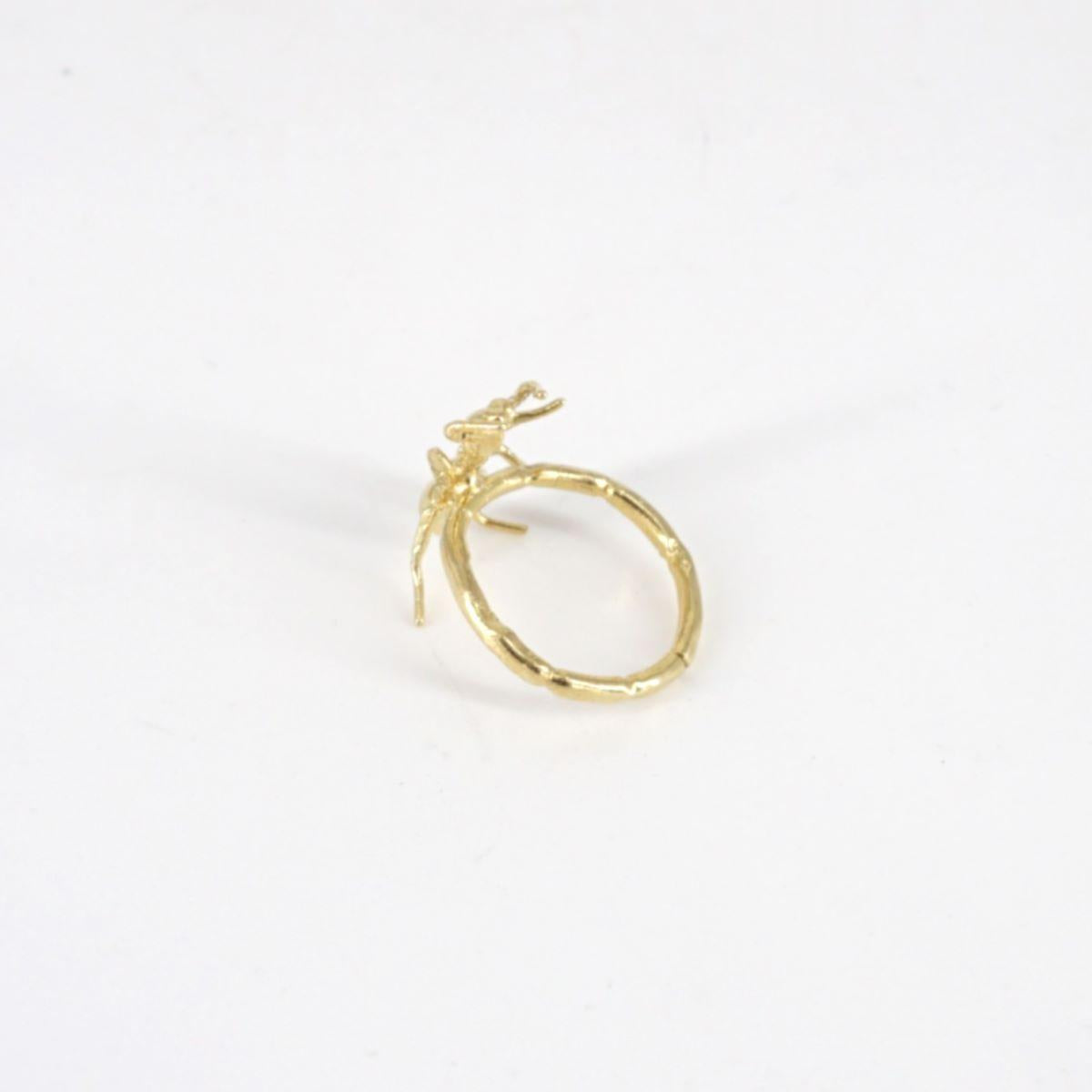 ANT mono ring