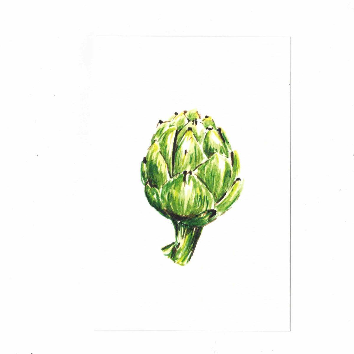 CATERINA BERTA CARTOLINACYNARA CARDUNCULUS