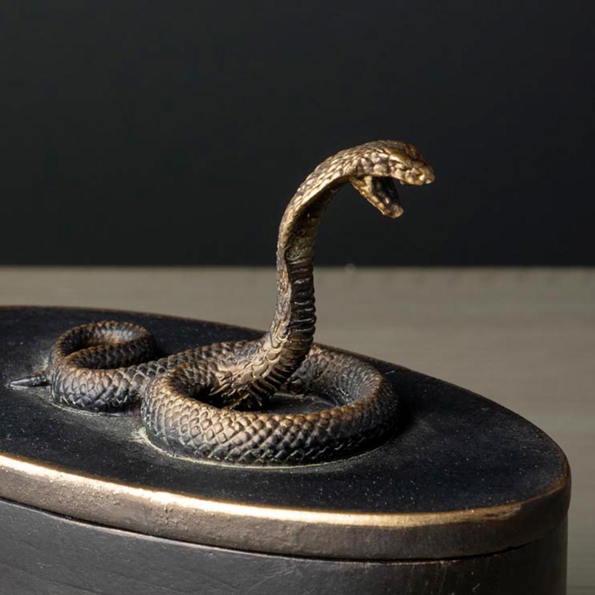 CHEHOMA SCATOLA COBRA