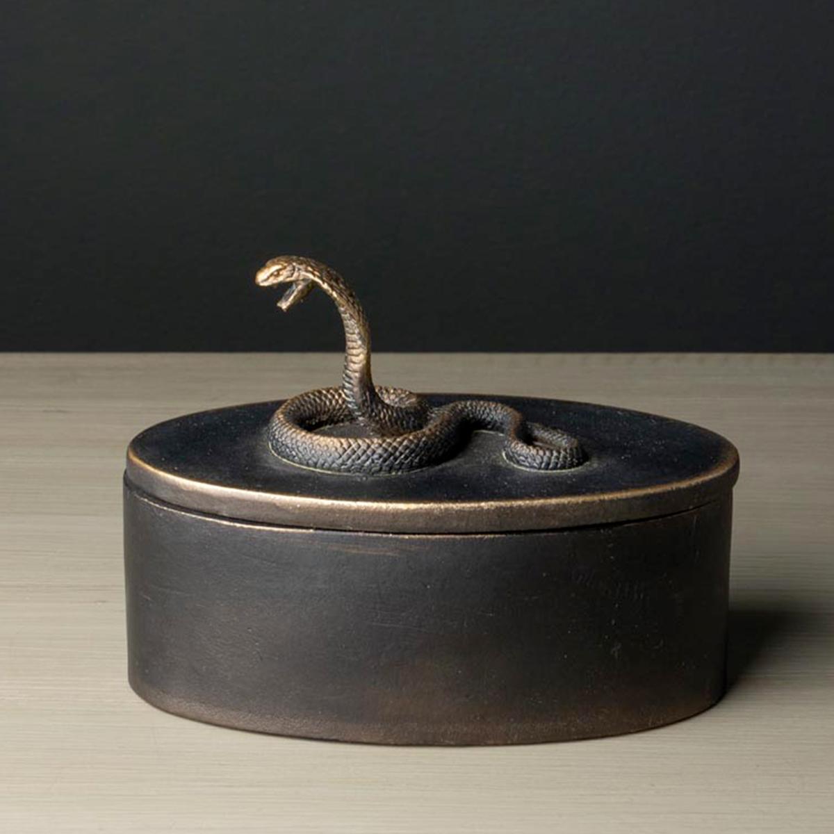 CHEHOMA SCATOLA COBRA