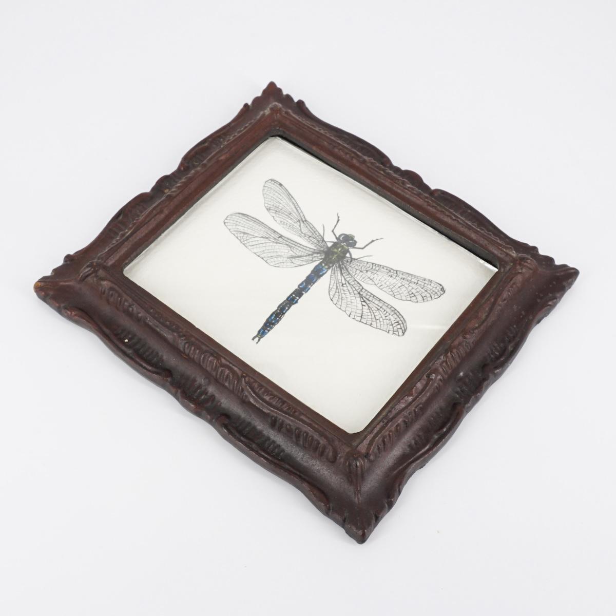 Quadretto ANAX IMPERATOR