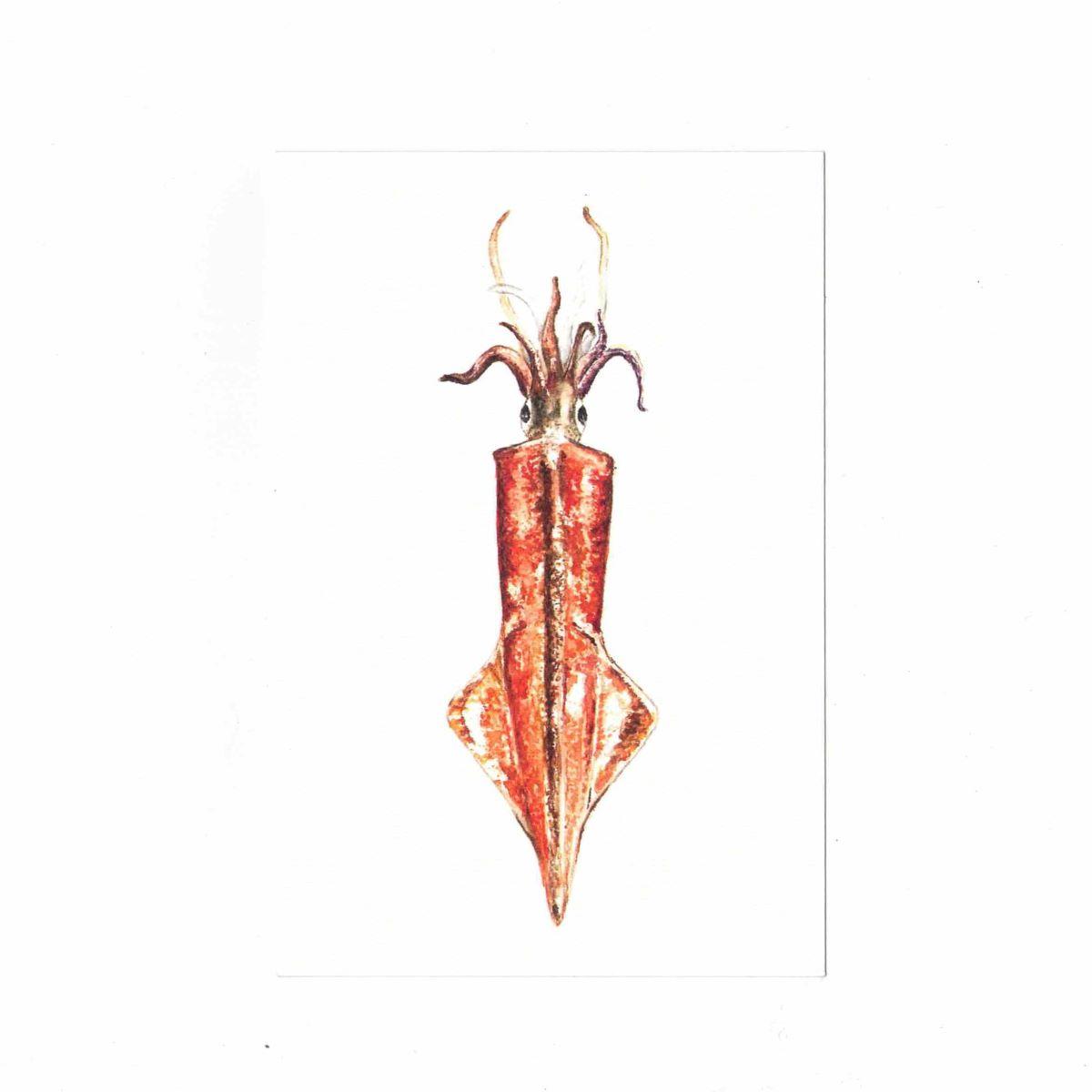 CATERINA BERTA CARTOLINA CON BUSTINALOLIGINIDAE