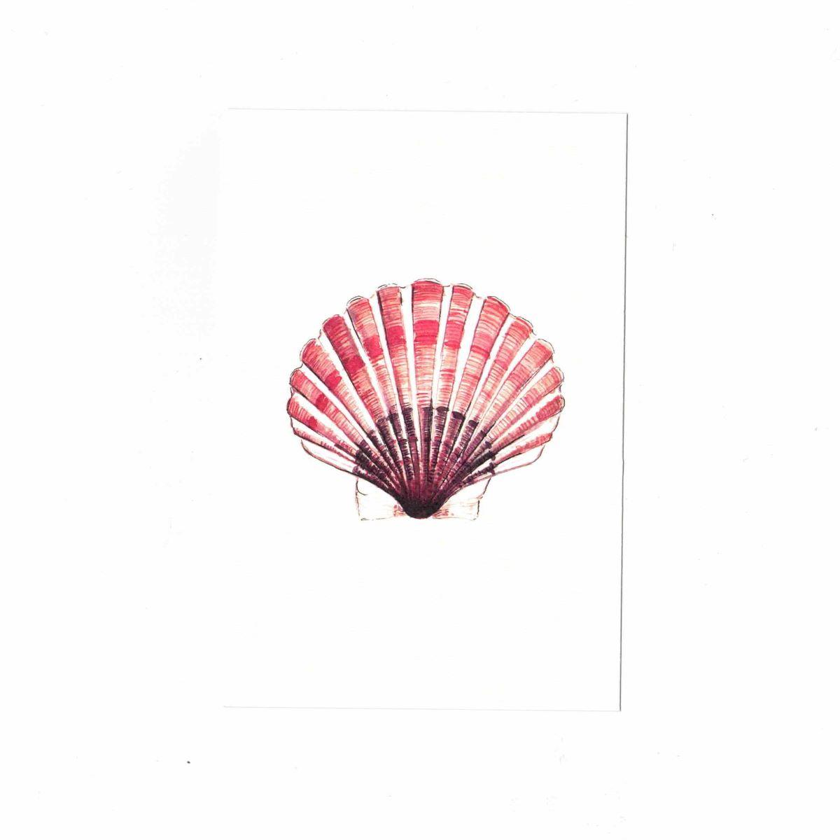 CATERINA BERTA CARTOLINA CON BUSTINACONCHIGLIA ROSA