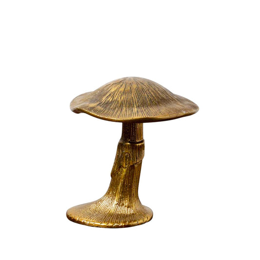 FUNGO decorativo small