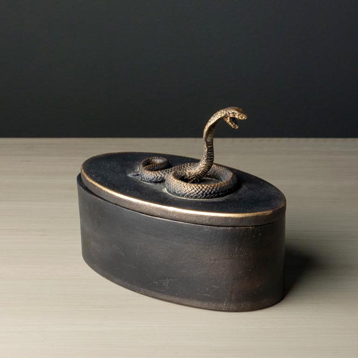 CHEHOMA SCATOLA COBRA
