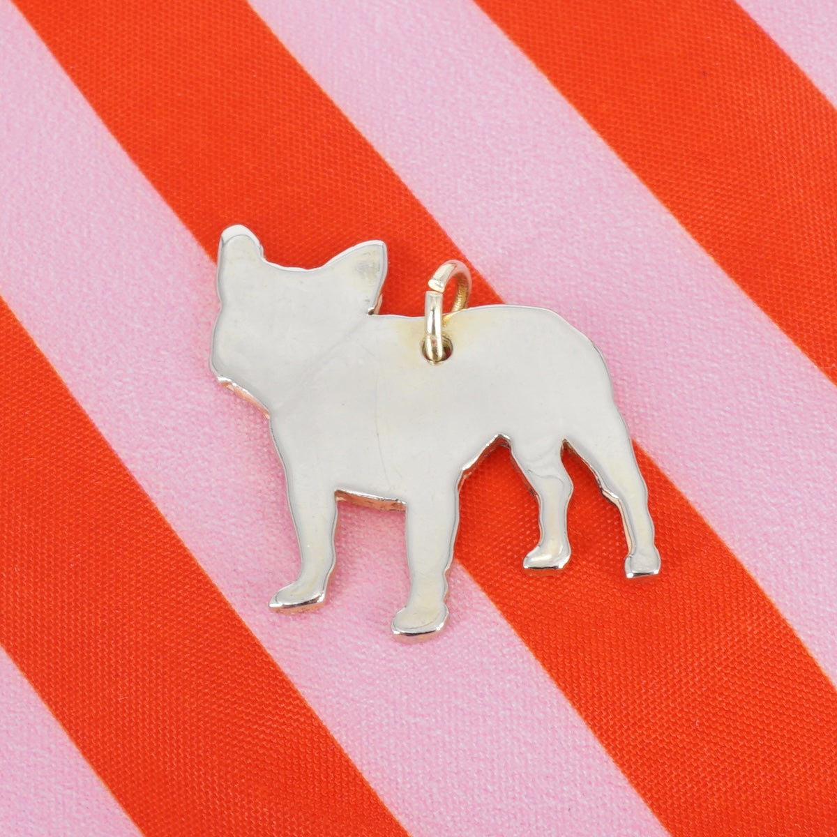 CHARM CANE BULLDOG CHARM ANIMALE BULLDOG BERC SOPHIE 