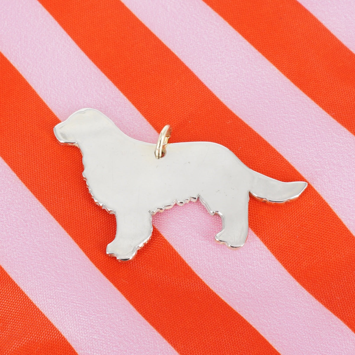 CHARM CANE GOLDEN CHARM ANIMALE GOLDEN BERC SOPHIE 