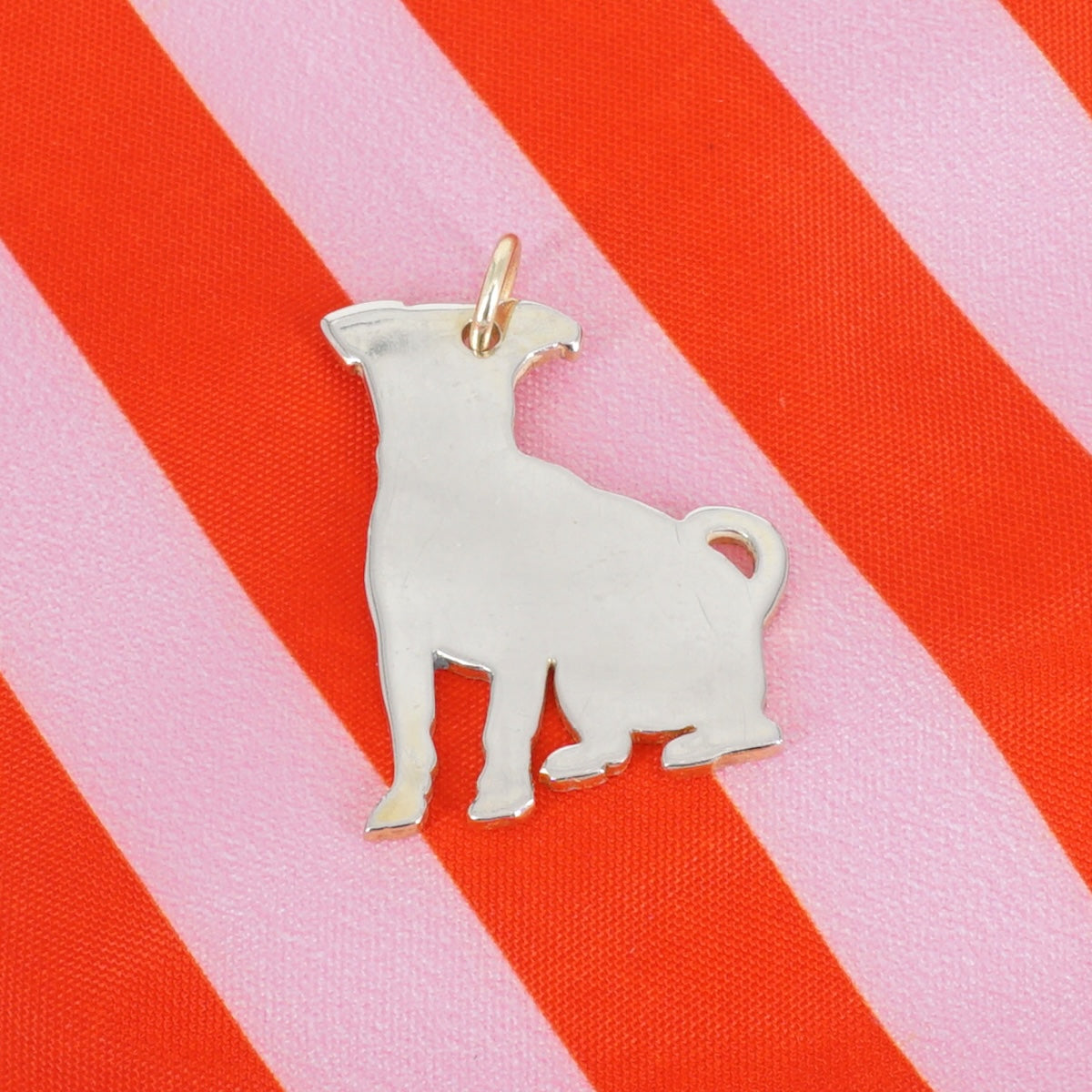 CHARM CANE JACK RUSSELL CHARM ANIMALE JACK RUSSELL BERC SOPHIE 