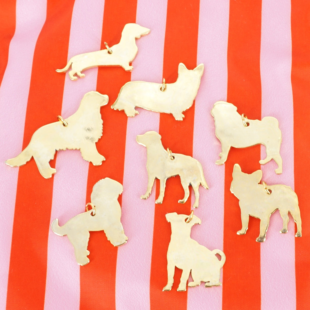 CHARM CANE LABRADOR CHARM ANIMALE LABRADOR BERC SOPHIE 
