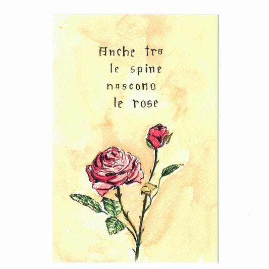 Postcard sayings EVEN AMONG THORNS ROSES ARE BORN