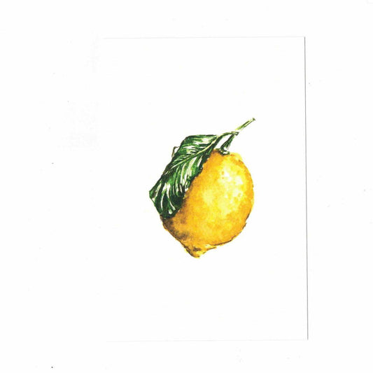 CATERINA BERTA CARTOLINACITRUS X LIMON