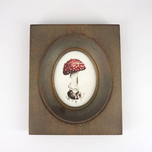 Quadretto AMANITA MUSCARIA QUADRATA MUSCHIO