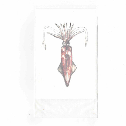 CATERINA BERTA CARTOLINA CON BUSTINALOLIGO VULGARIS