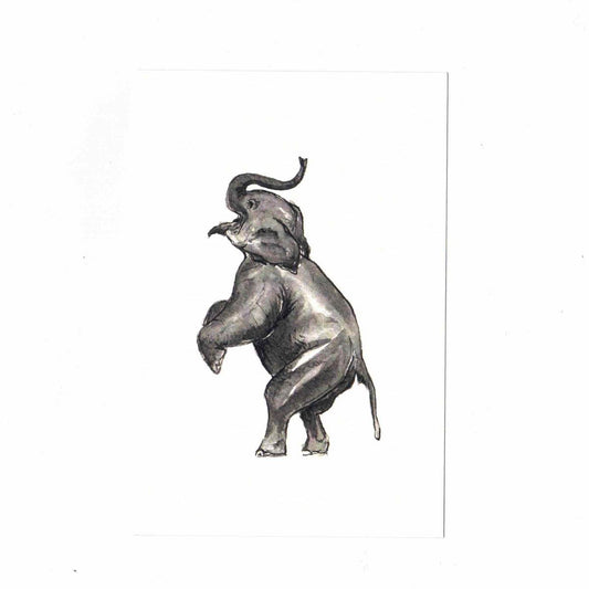 CATERINA BERTA CARTOLINAELEFANTE