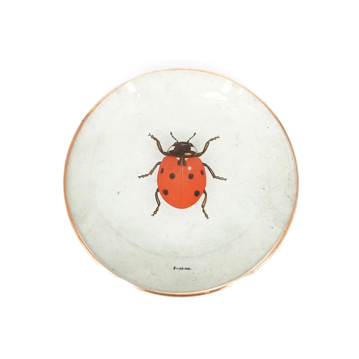 Piattino COCCINELLA COCCINELLA  TANJUR 