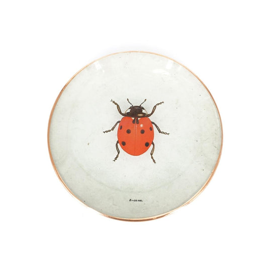 Piattino COCCINELLA COCCINELLA  TANJUR 
