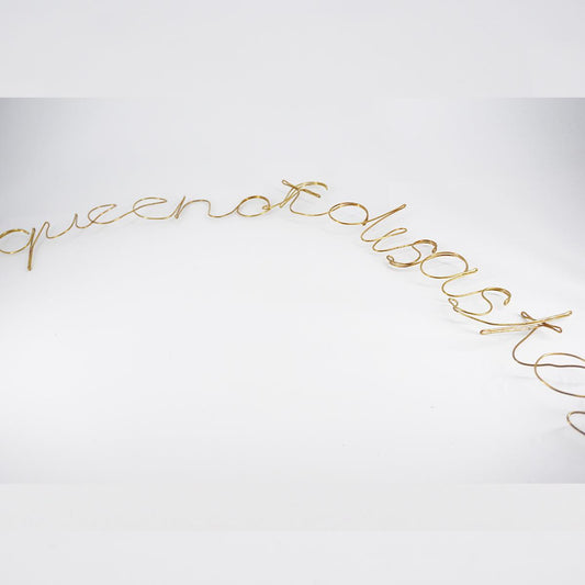 Scritta lineare queen of disaster