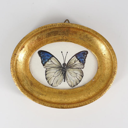 Quadretto HEBOMOIA GLAUCIPPE