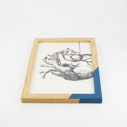 Equilibrismo piatto Sorellanza BLU