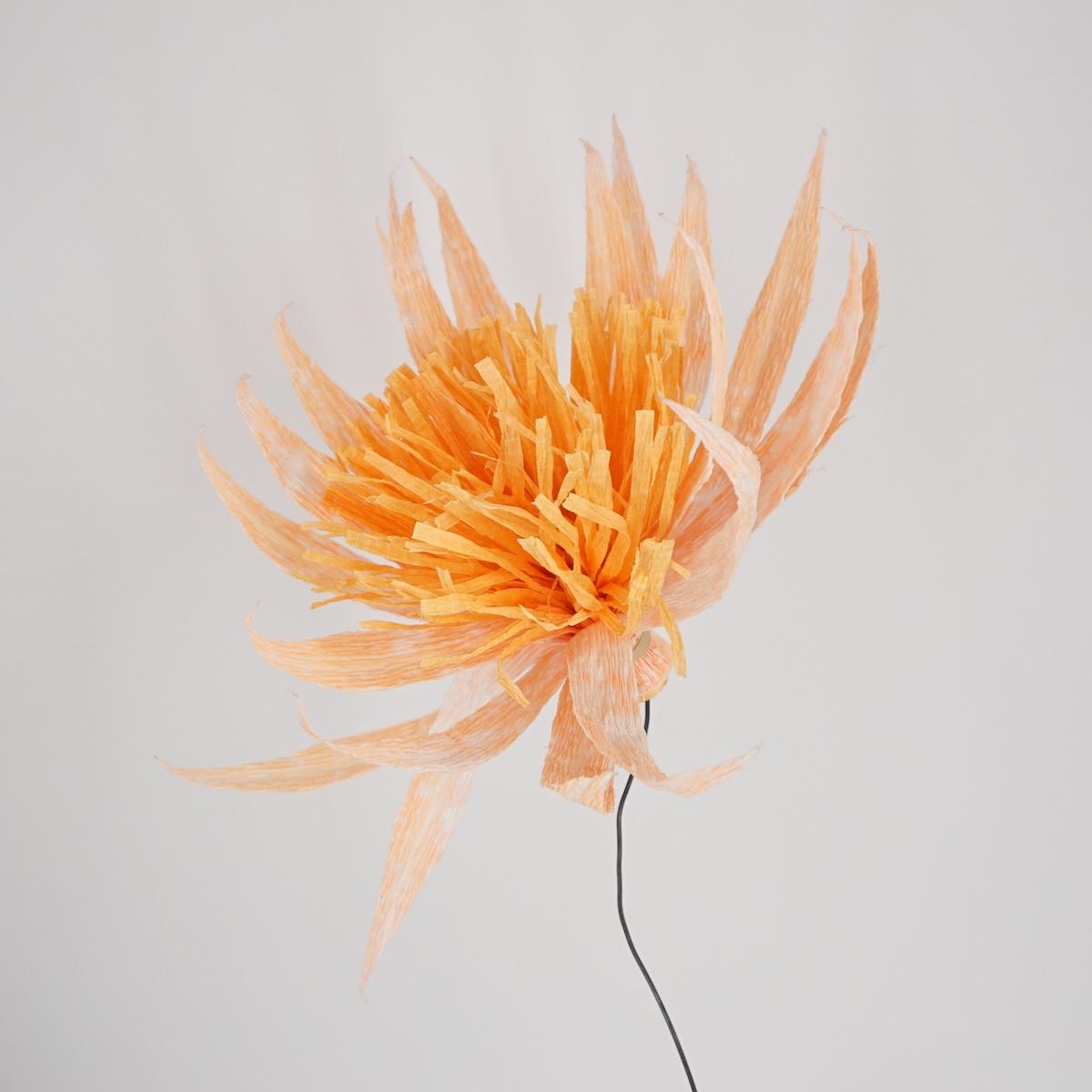 OLD FIORE DI CARTA ARANCIO E PESCAPESCA