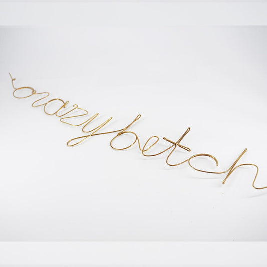 Scritta lineare crazy bitch