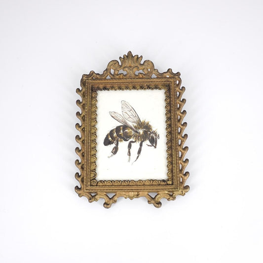 CATERINA BERTA APIS RETTANGOLARE METALLO