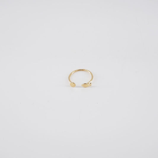Niani ANELLO PESCE
