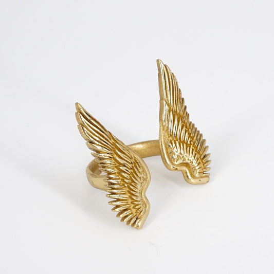 Anello ALI