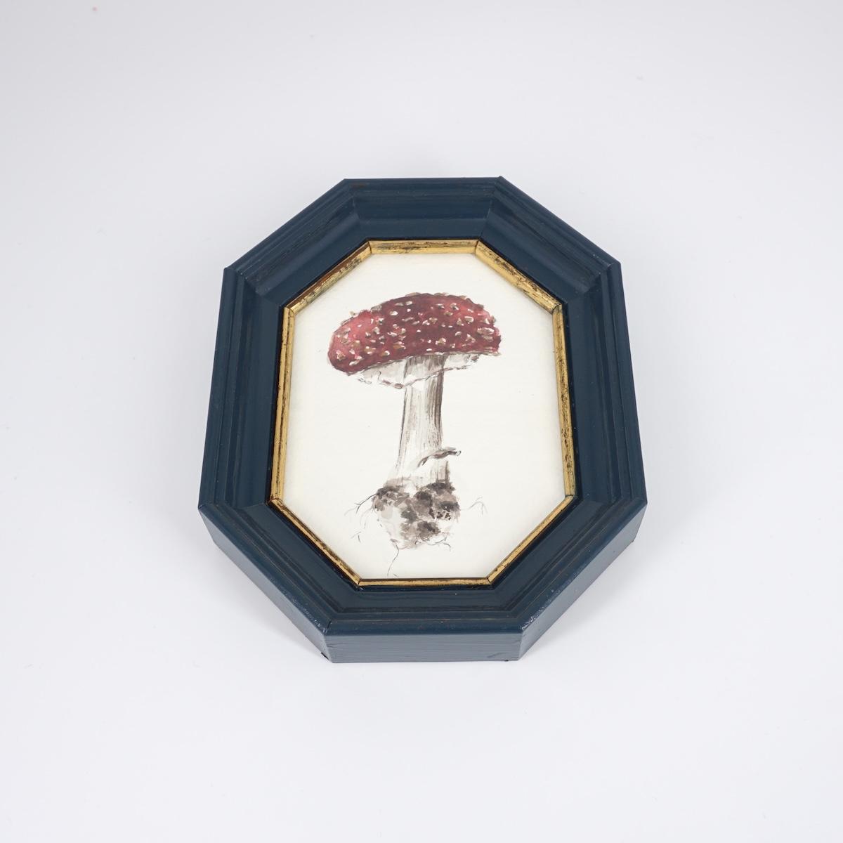 CATERINA BERTA AMANITA MUSCARIA CORNICE BLU