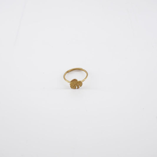 BUBBLE BOX ANELLO MINIMALMONSTERA