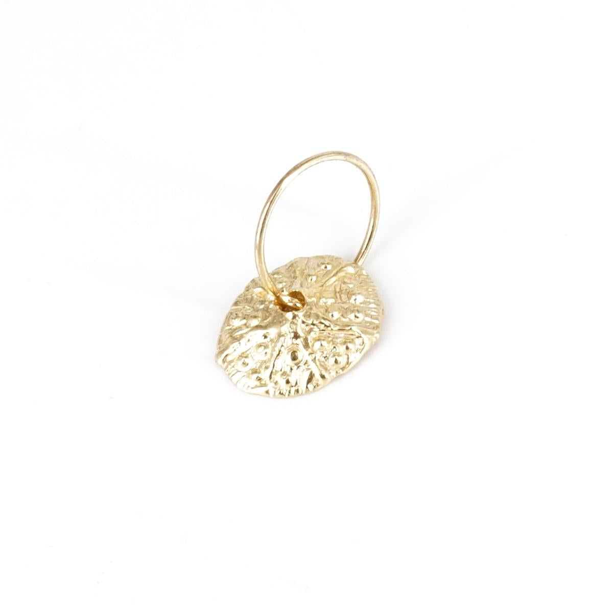 Mono hoop hermit crab shell
