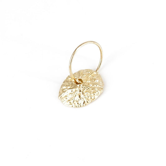 Mono hoop hermit crab shell